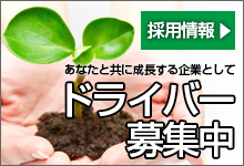 採用情報